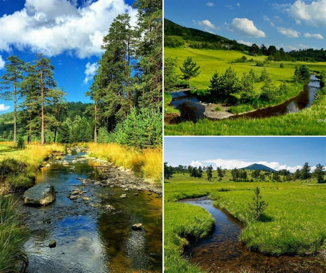 Centar! Lara Zlatibor Apartman Kültér fotó